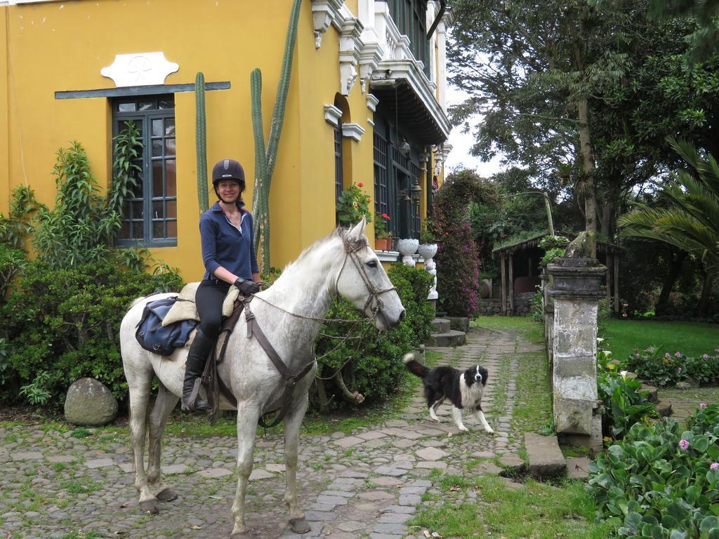 Hacienda La Alegria Hotel Exterior photo